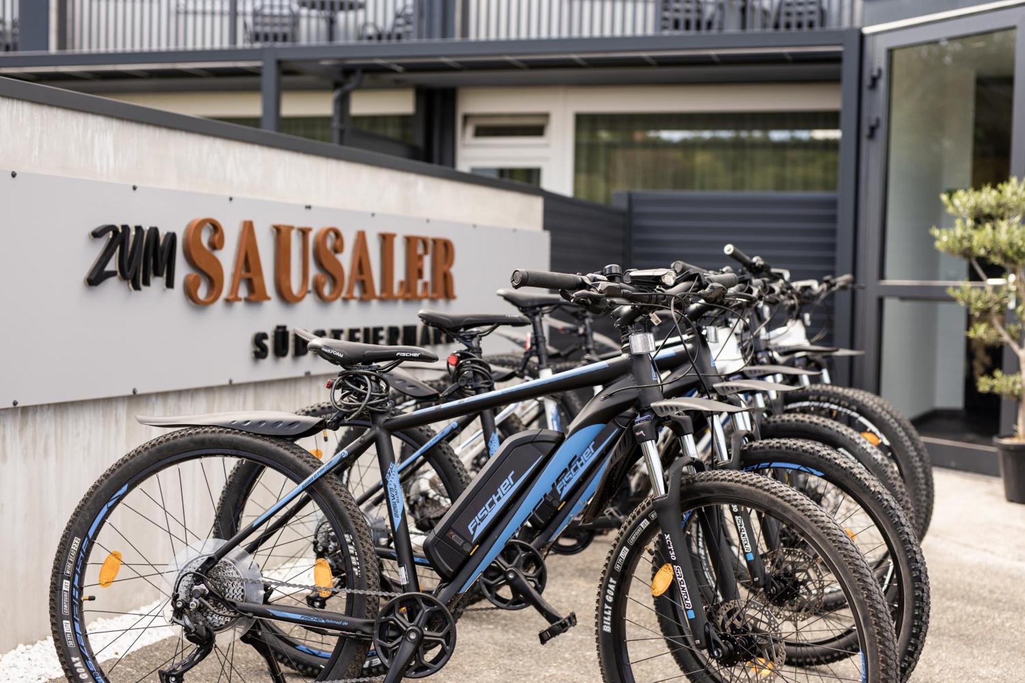 Zum Sausaler - Boutique Hotel-Pension Suedsteiermark Sankt Nikolai im Sausal Kültér fotó